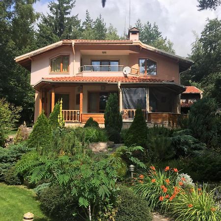 Luxury Villa Borina Zheleznitsa Buitenkant foto