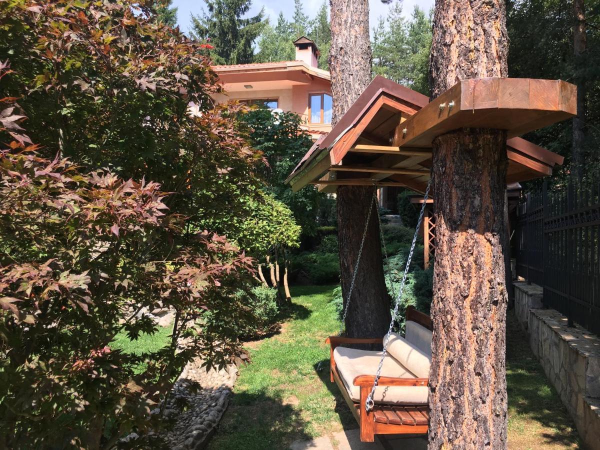 Luxury Villa Borina Zheleznitsa Buitenkant foto