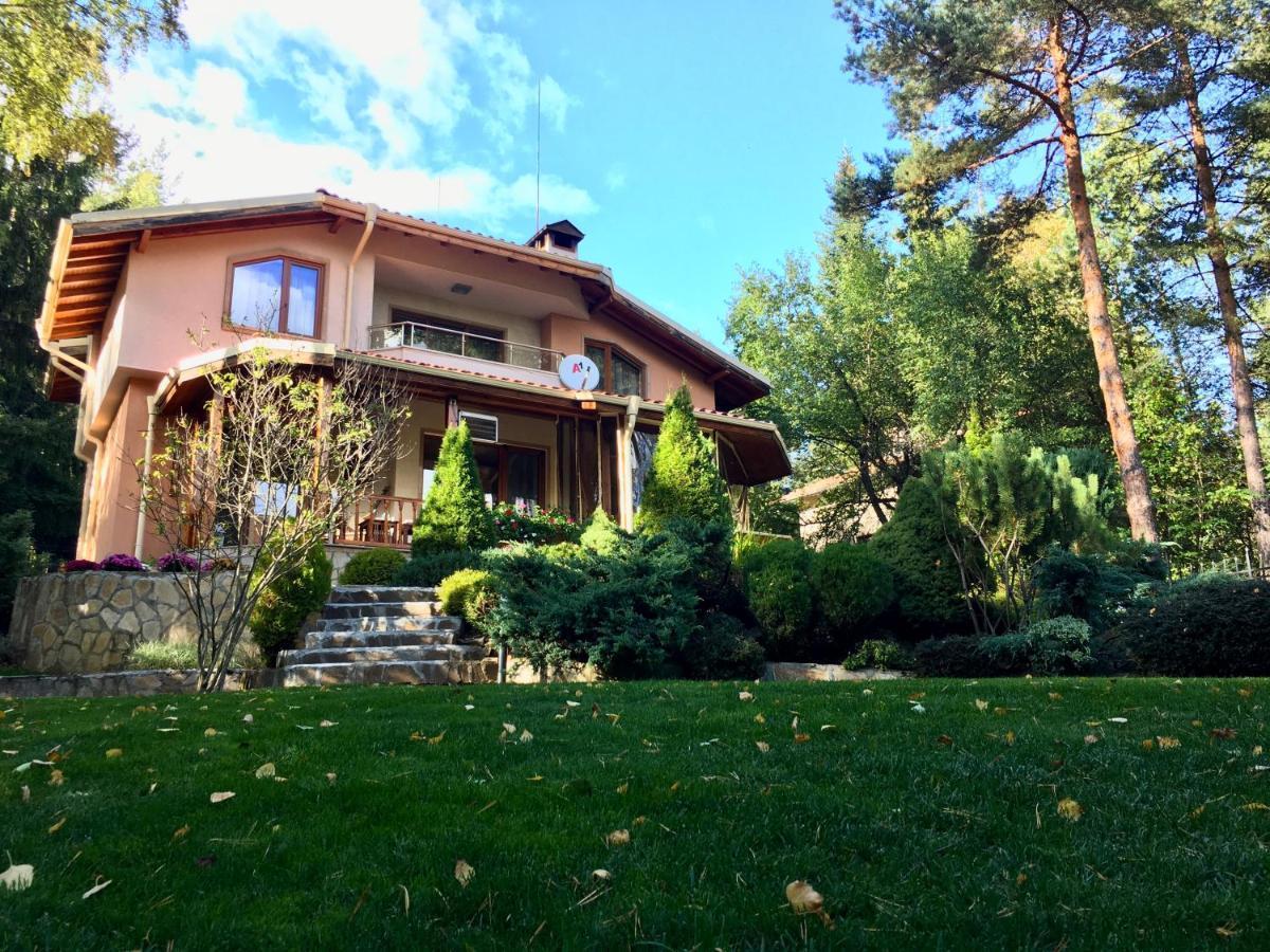Luxury Villa Borina Zheleznitsa Buitenkant foto