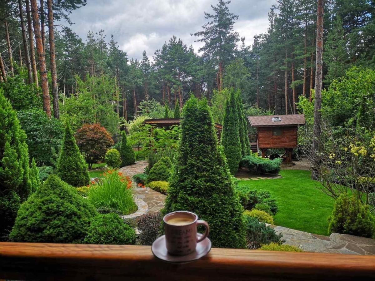 Luxury Villa Borina Zheleznitsa Buitenkant foto
