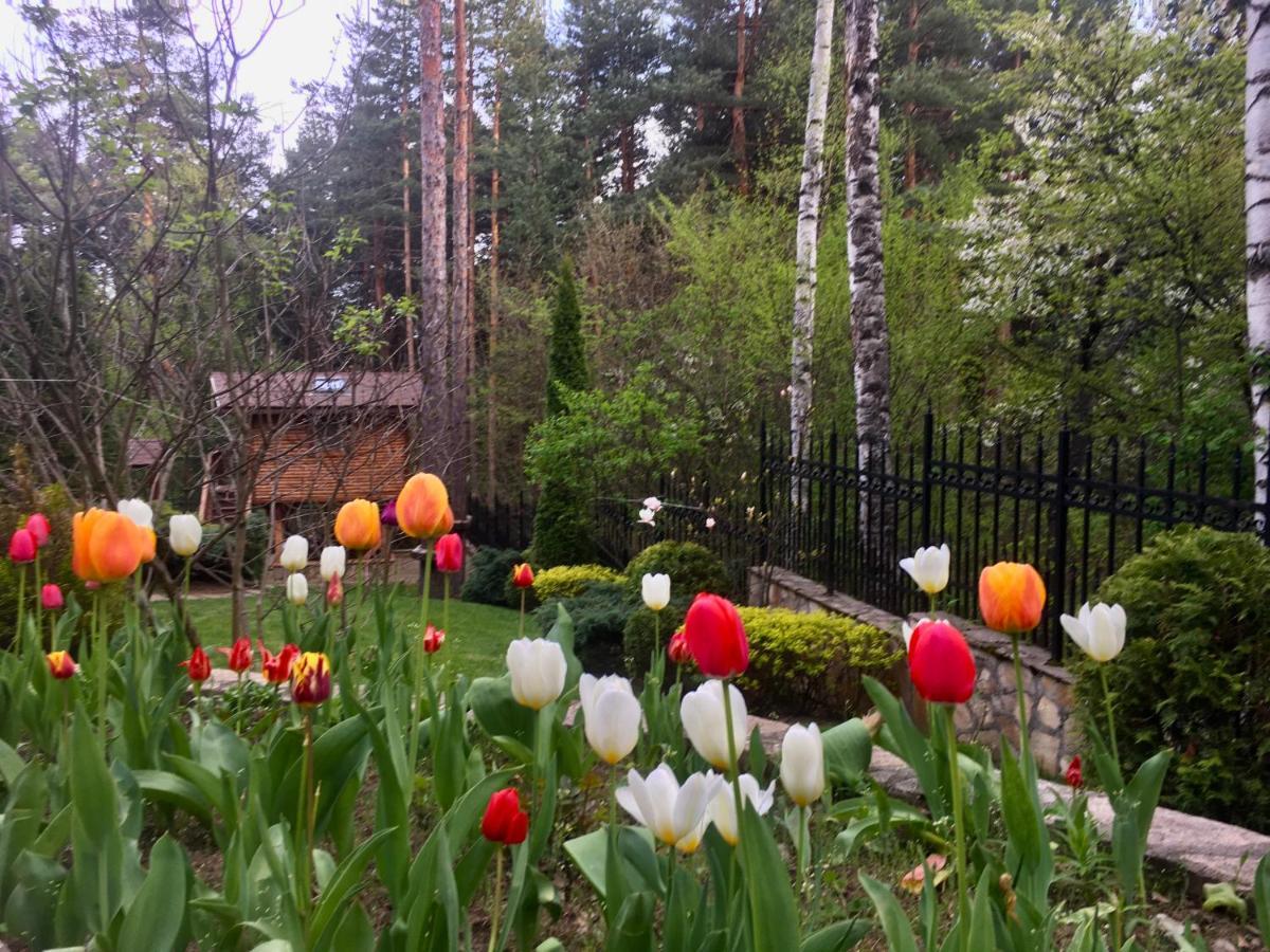 Luxury Villa Borina Zheleznitsa Buitenkant foto