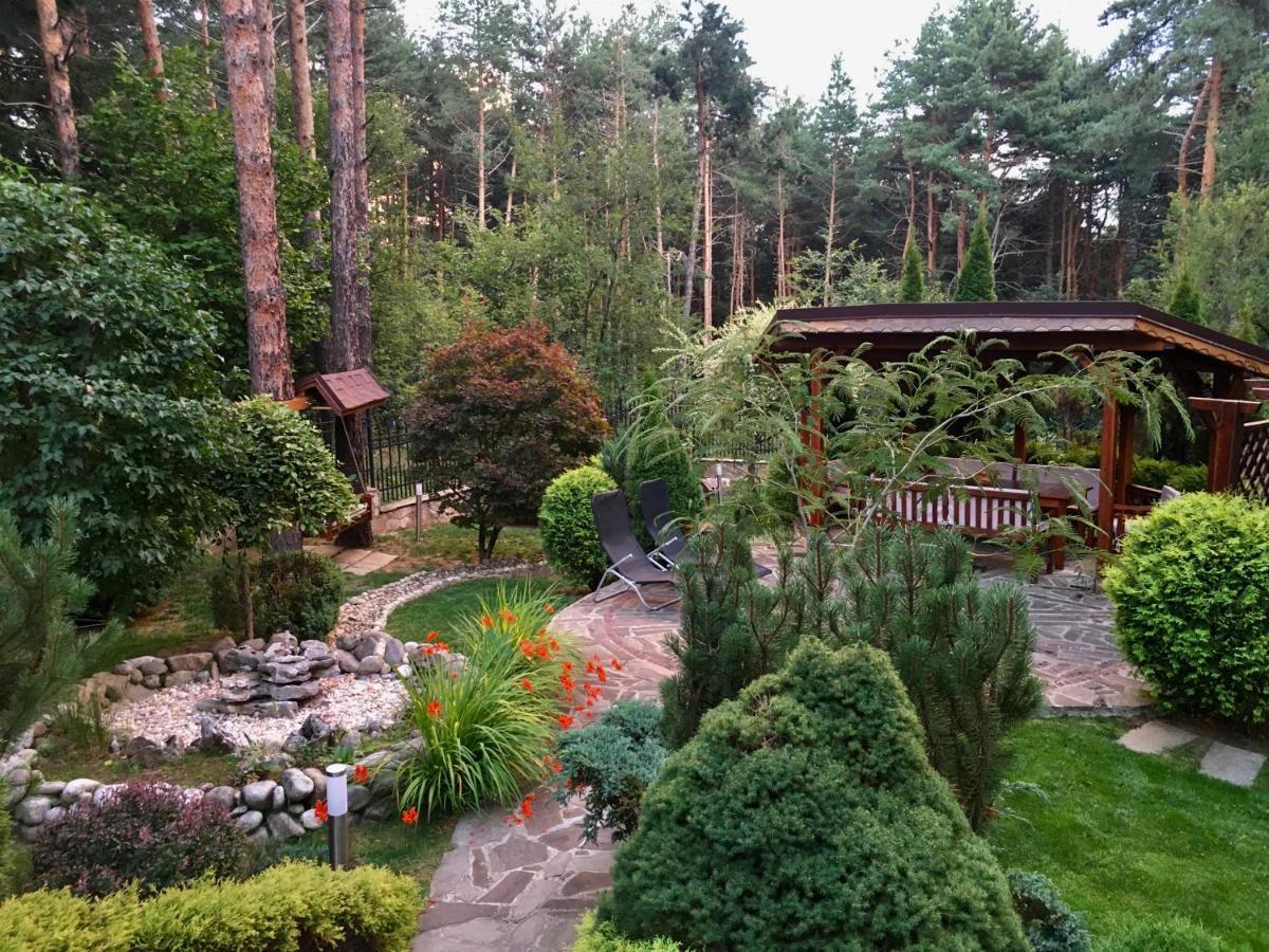 Luxury Villa Borina Zheleznitsa Buitenkant foto