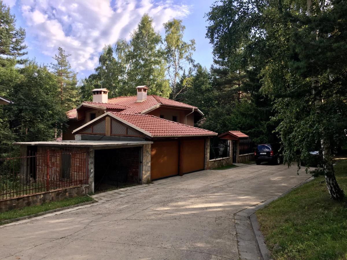 Luxury Villa Borina Zheleznitsa Buitenkant foto