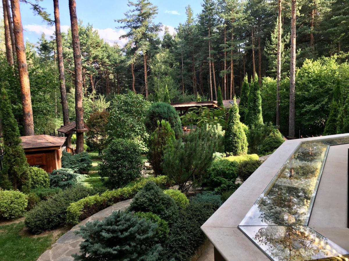 Luxury Villa Borina Zheleznitsa Buitenkant foto
