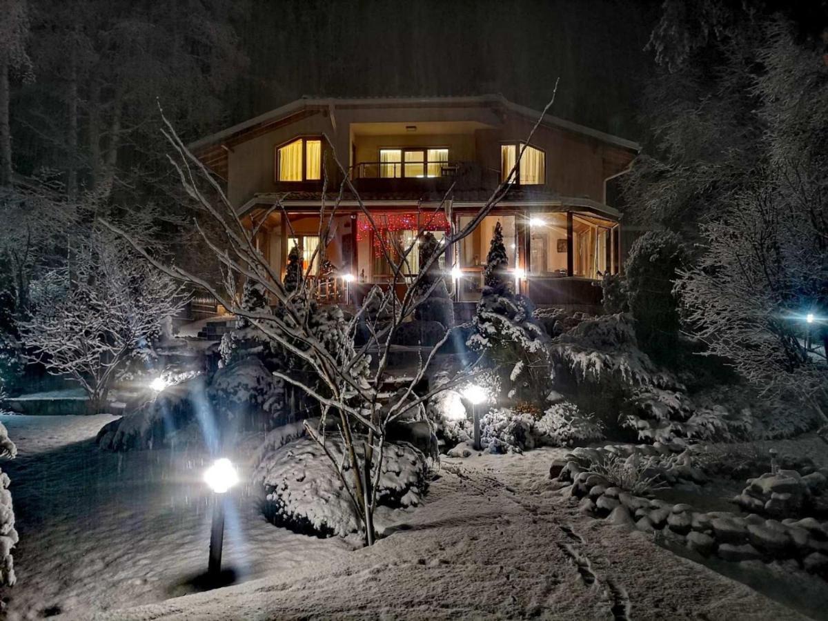 Luxury Villa Borina Zheleznitsa Buitenkant foto