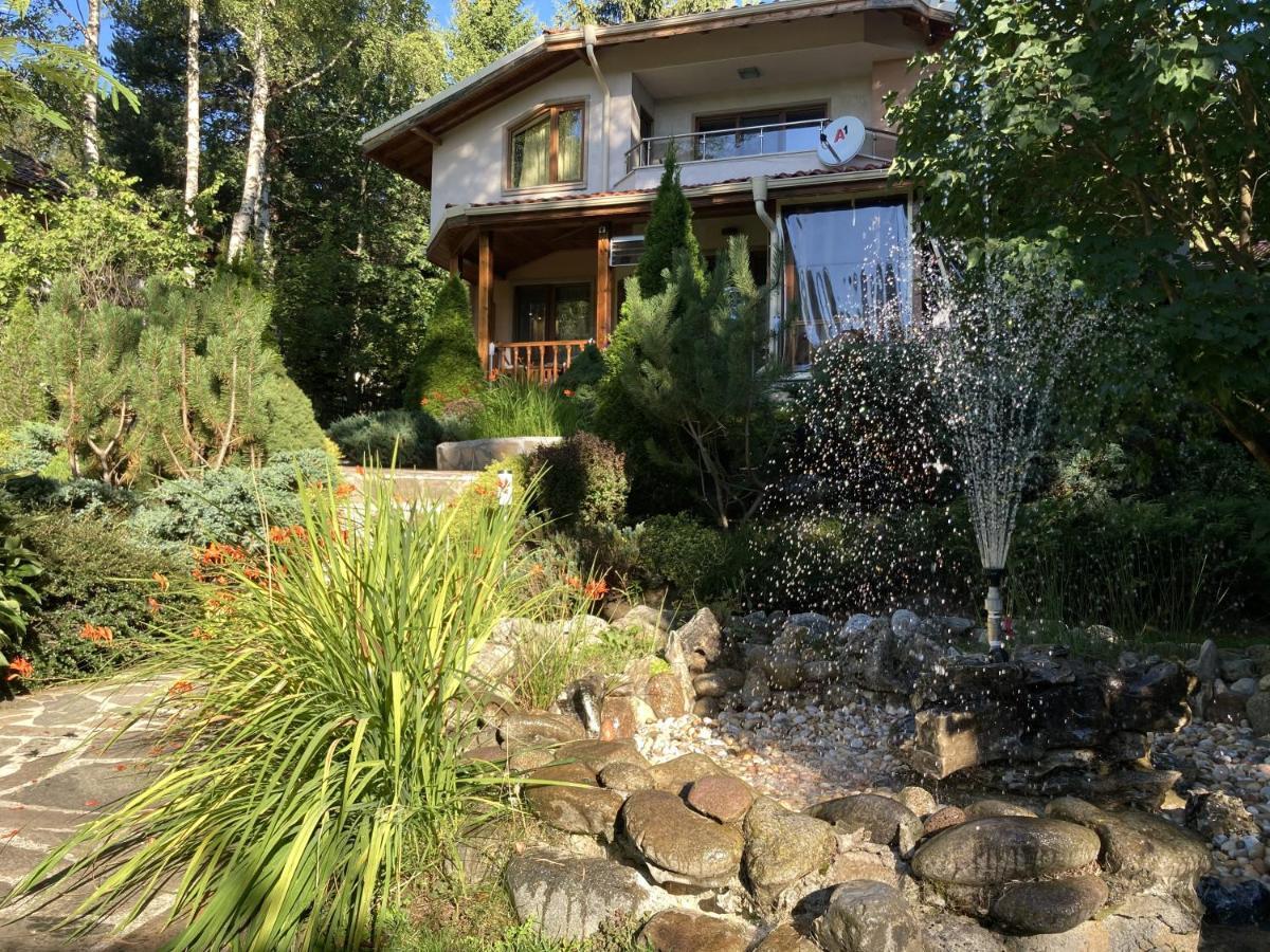 Luxury Villa Borina Zheleznitsa Buitenkant foto
