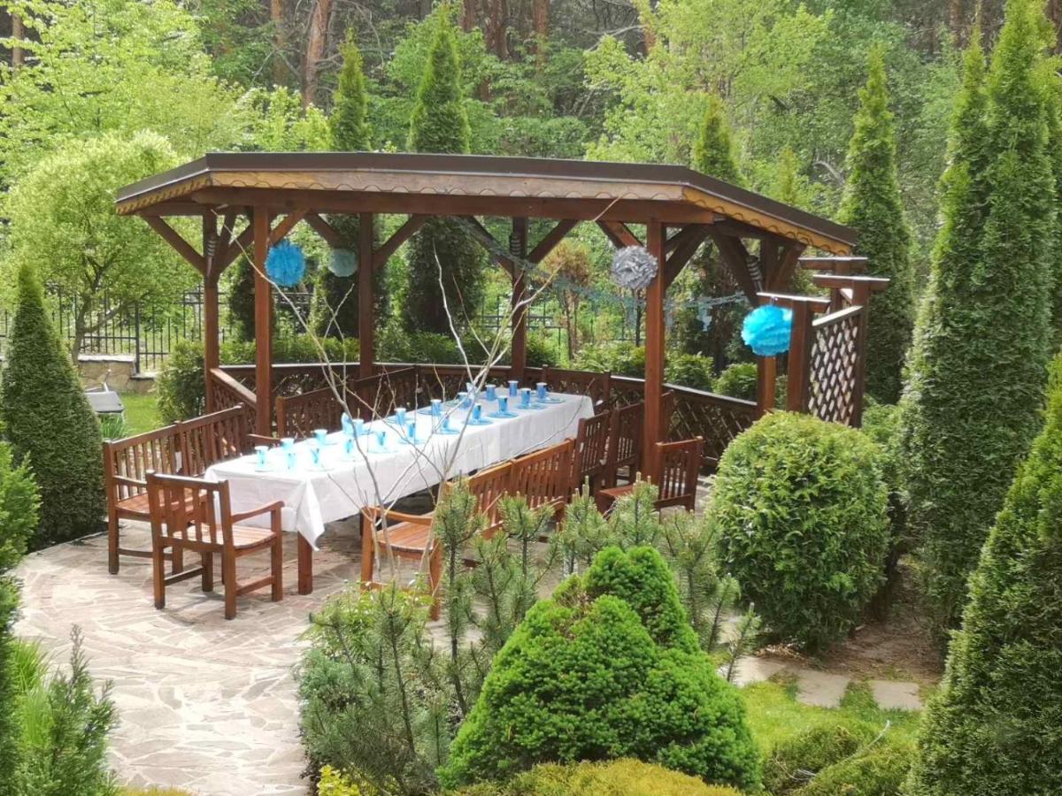 Luxury Villa Borina Zheleznitsa Buitenkant foto