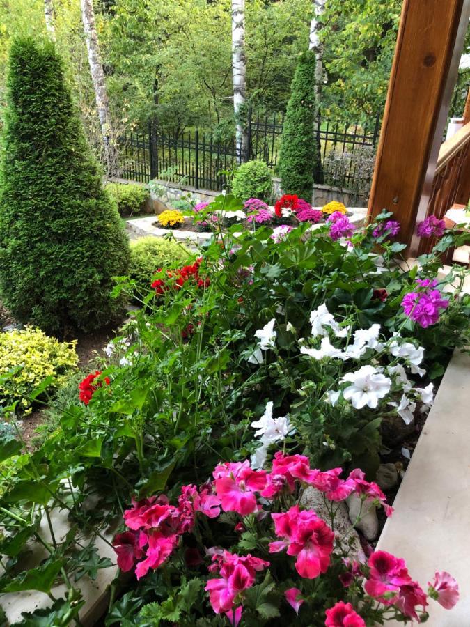 Luxury Villa Borina Zheleznitsa Buitenkant foto