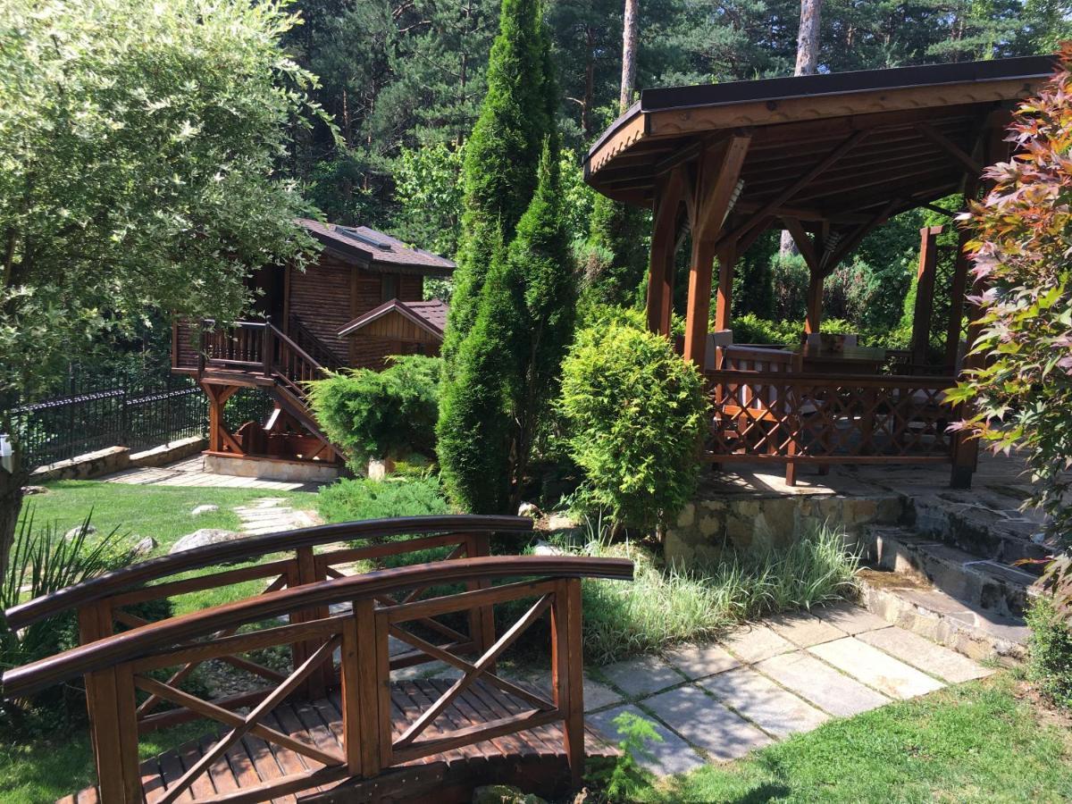 Luxury Villa Borina Zheleznitsa Buitenkant foto