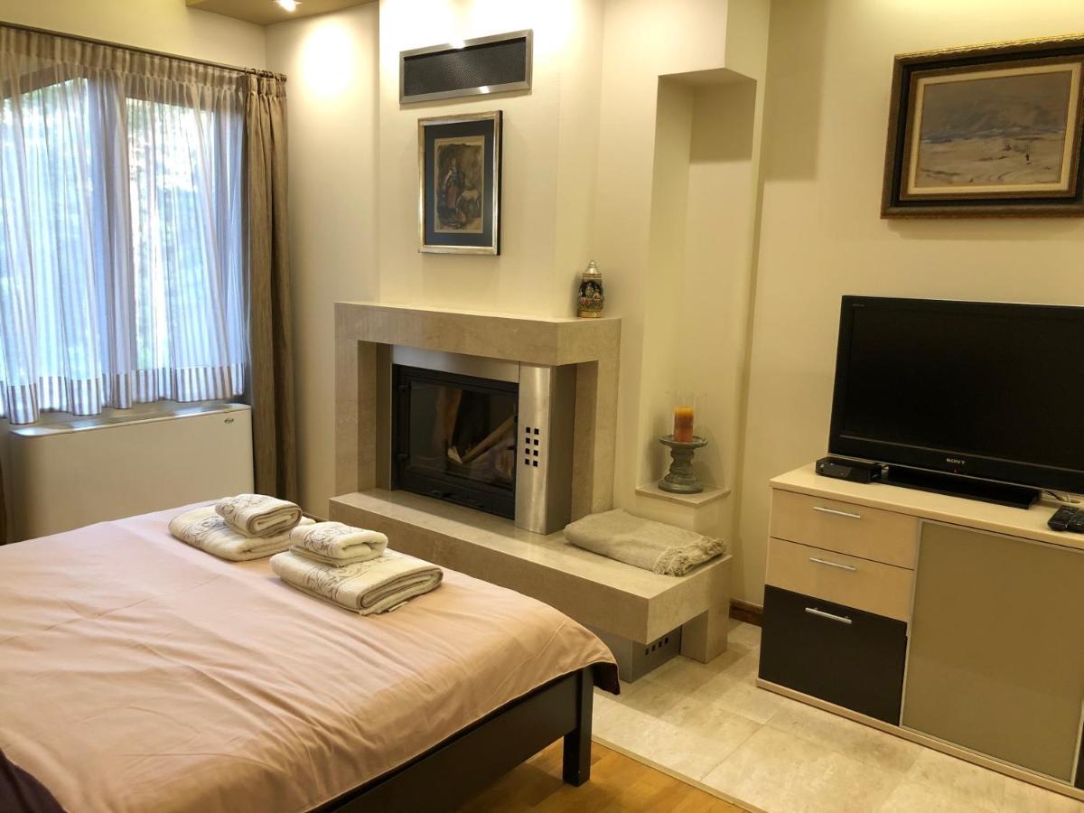 Luxury Villa Borina Zheleznitsa Buitenkant foto