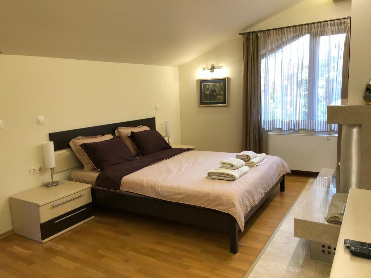 Luxury Villa Borina Zheleznitsa Buitenkant foto