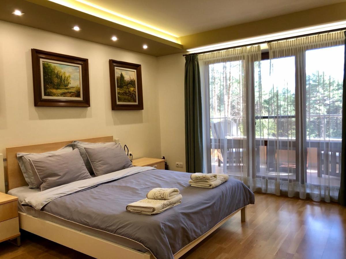 Luxury Villa Borina Zheleznitsa Buitenkant foto