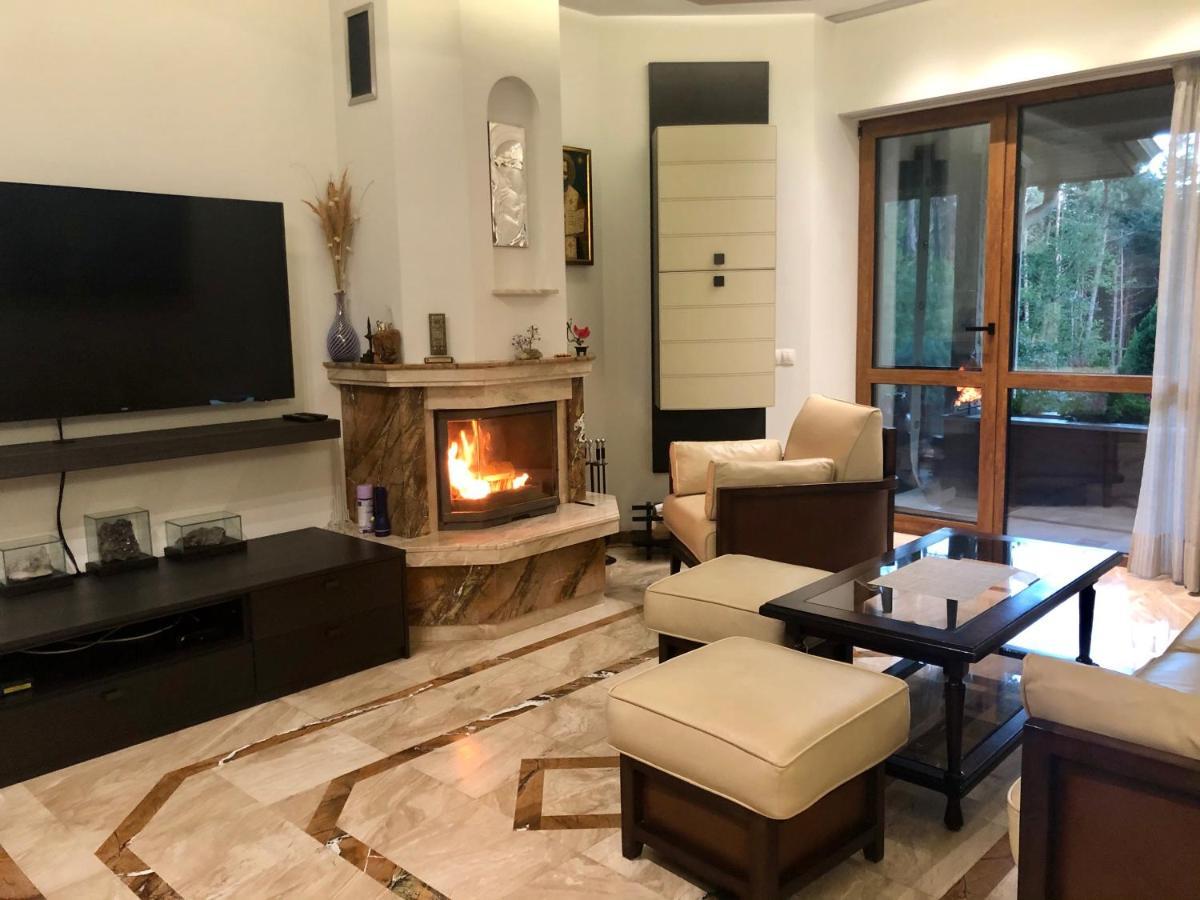 Luxury Villa Borina Zheleznitsa Buitenkant foto