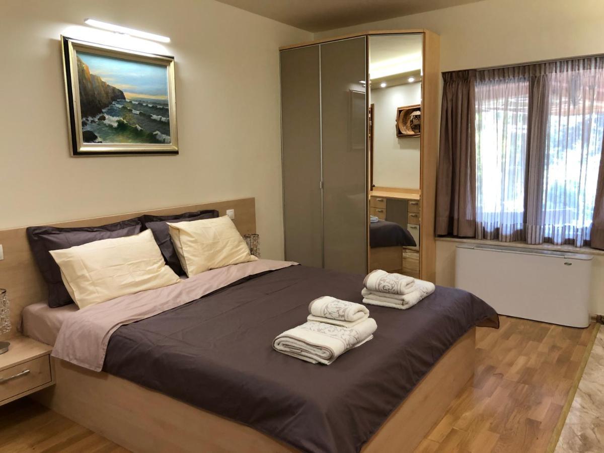Luxury Villa Borina Zheleznitsa Buitenkant foto