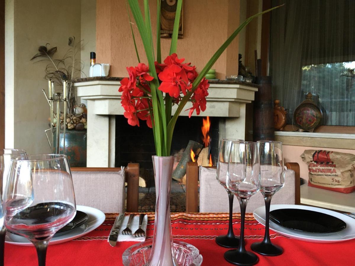 Luxury Villa Borina Zheleznitsa Buitenkant foto