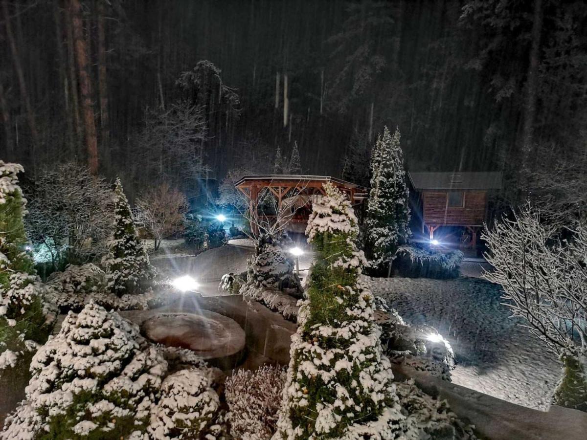 Luxury Villa Borina Zheleznitsa Buitenkant foto